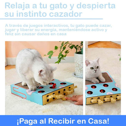 CatQuest™ Rascador 3 en 1